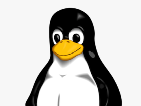 Ernstige kwetsbaarheid in pty layer van Linux-kernel